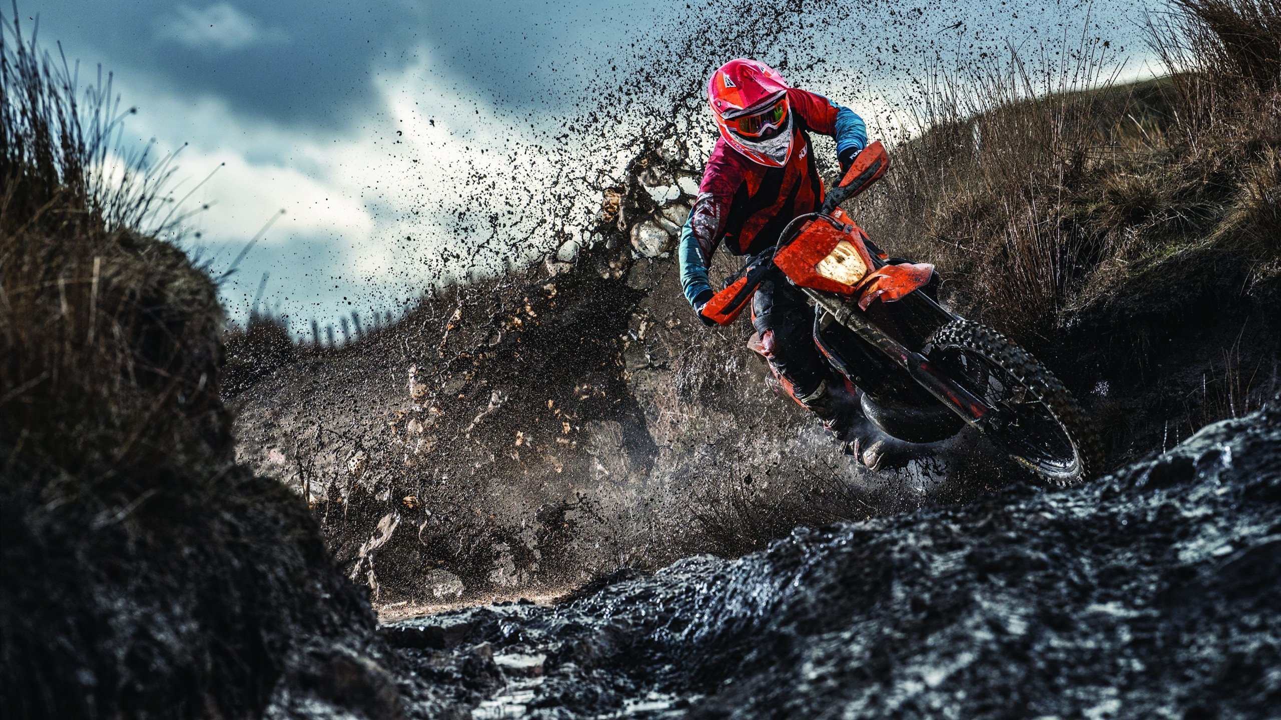 利物浦欧冠逐步推进，冲击最终冠军